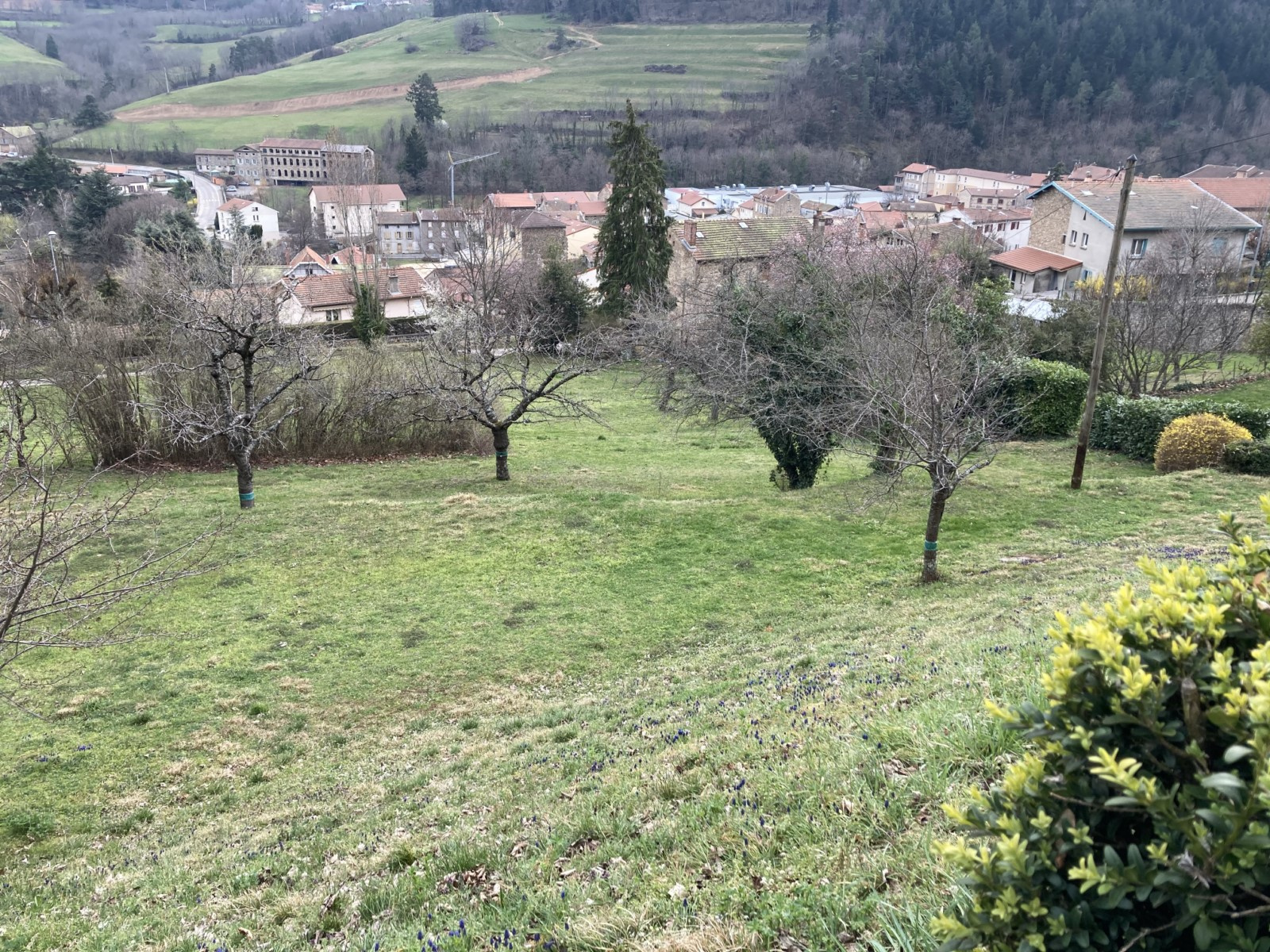 Photo bien immobilier